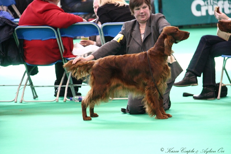 Crufts2011 626.jpg